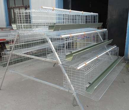 蛋鸡笼生产厂家，畜牧机械
